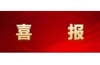 喜报！临平区青年商会荣膺市级“5A等级社